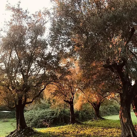 Casale Della Spinosa Feriehus *